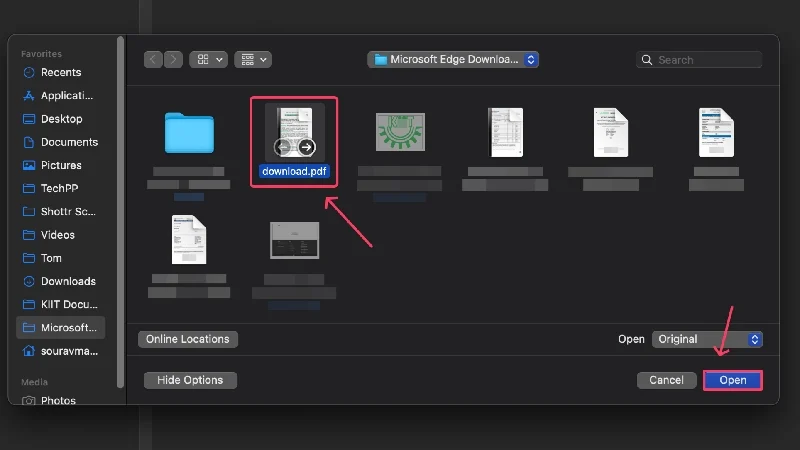 choose the required pdf(s)
