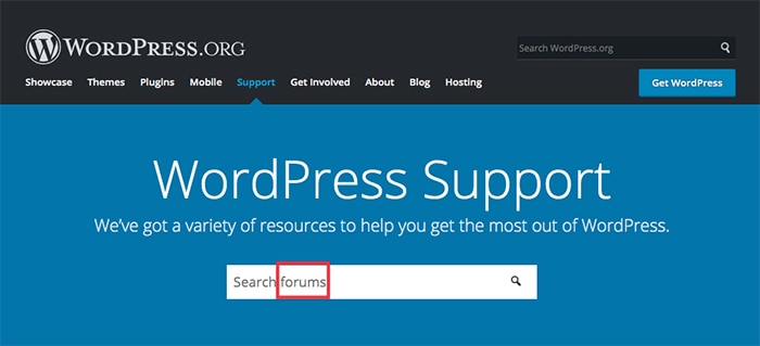 WordPress-Unterstützung