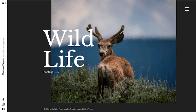 Wix 模板野生動物攝影師