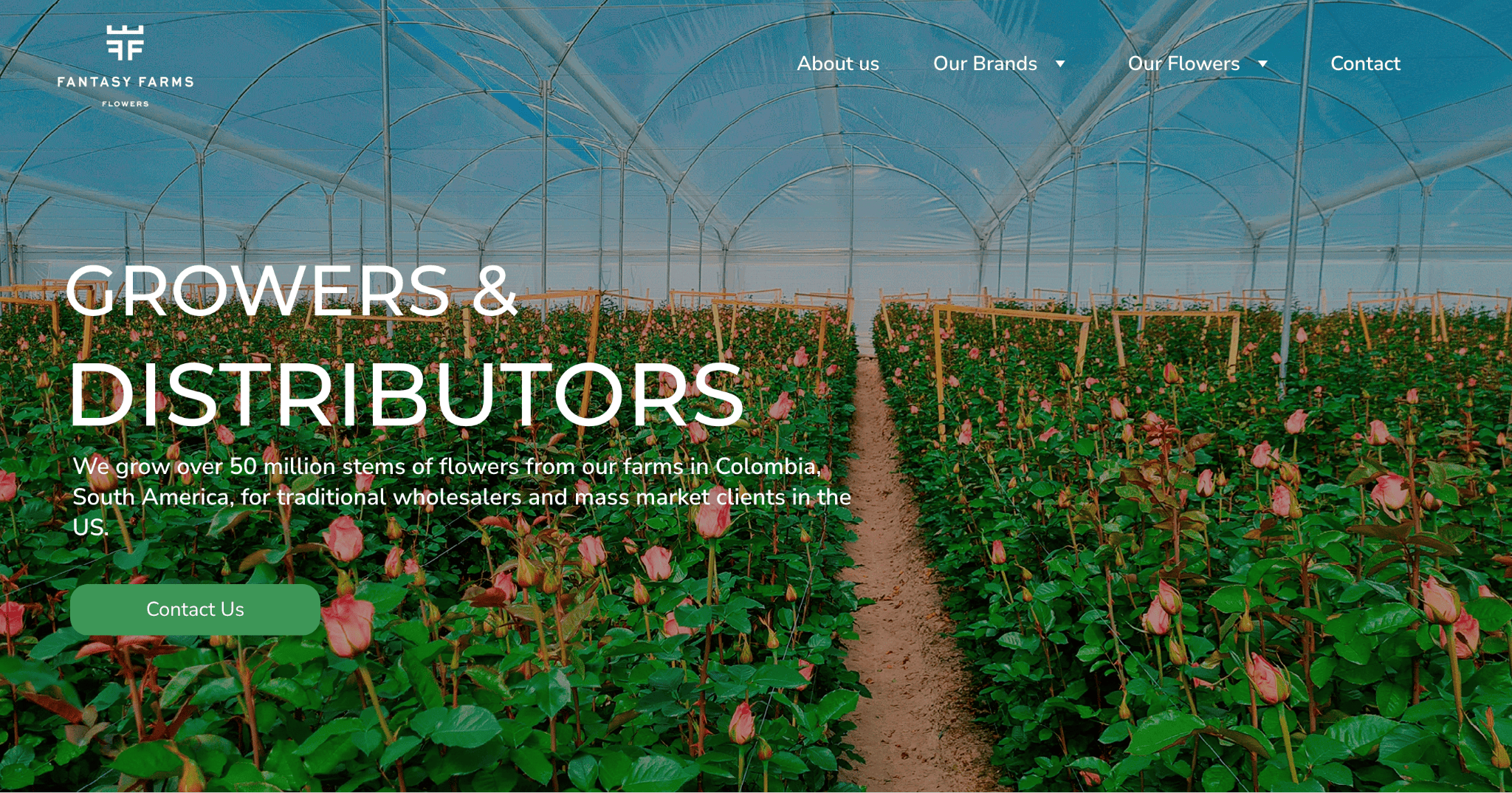 exemplu de site web zyro - ferme fantastice