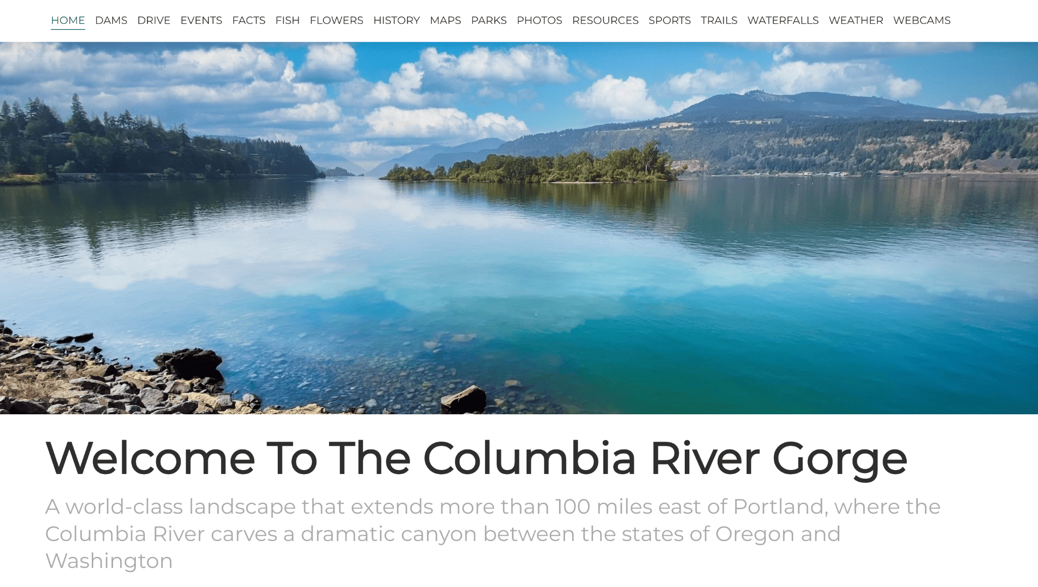 Пример веб-сайта zyro - ущелье реки Колумбия