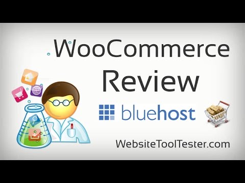 Ulasan WooCommerce: Plugin eCommerce terbaik untuk WordPress?