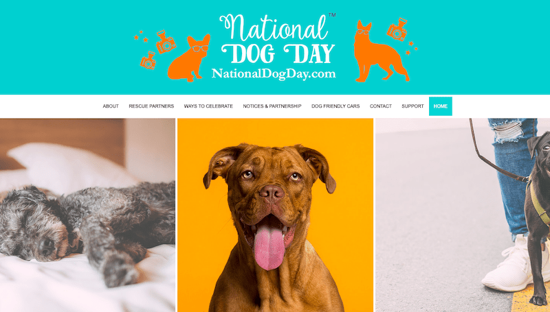 Exemples de sites Web Wix - Journée nationale du chien