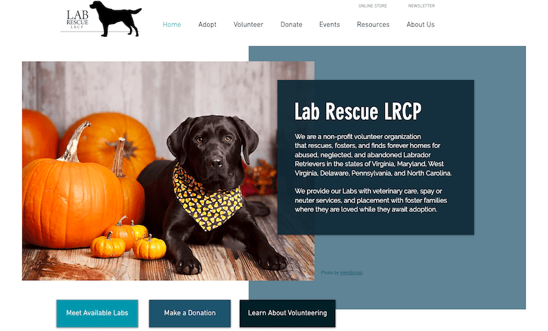 實驗室救援 LRCP