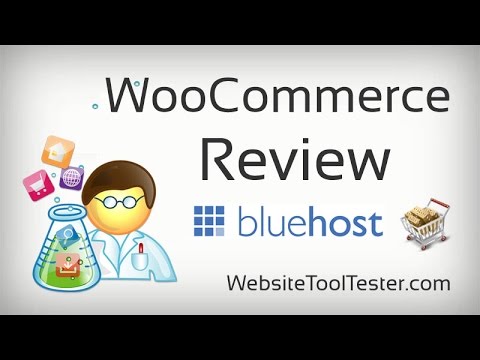 WooCommerce 评论：WordPress 的最佳电子商务插件？