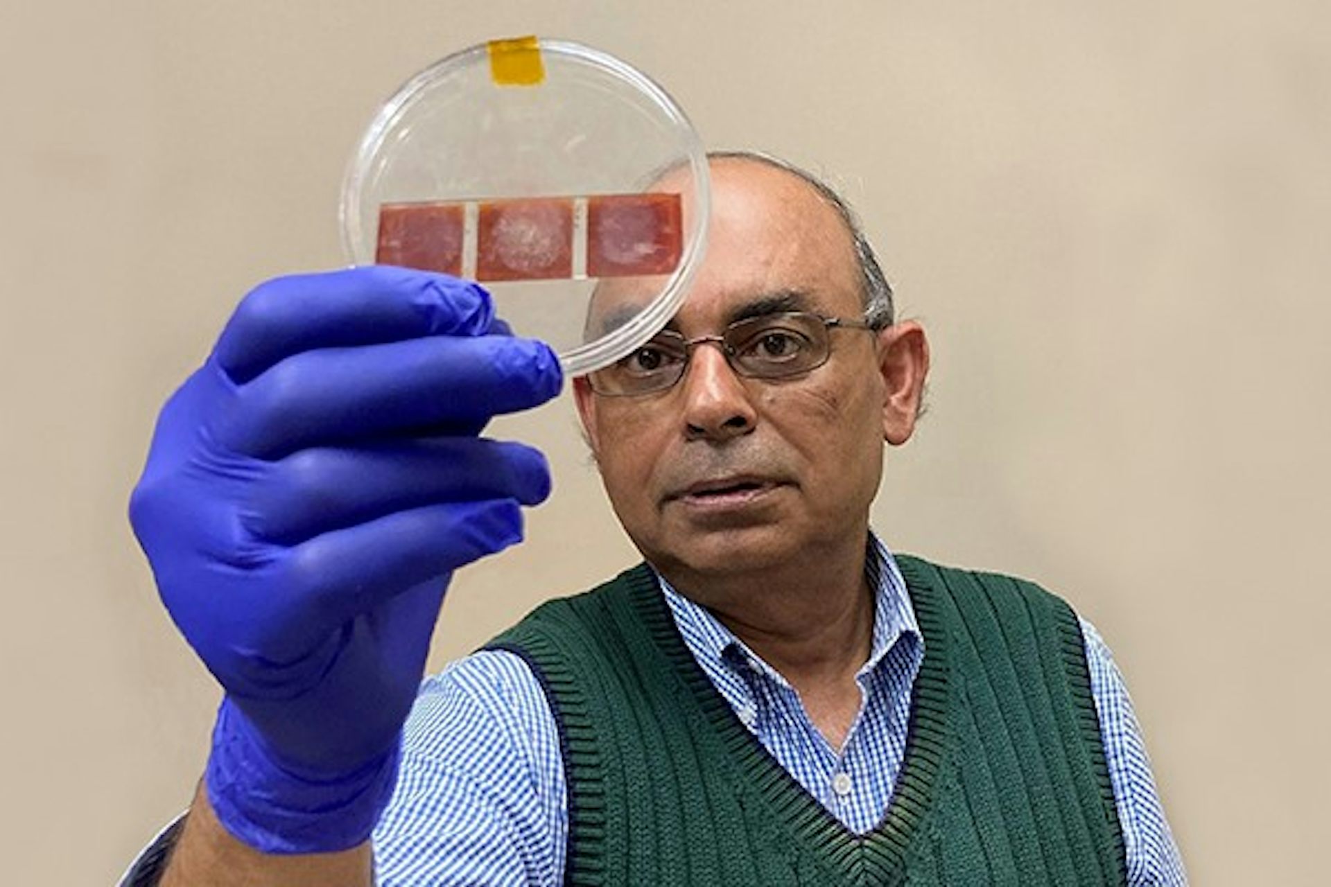 Una técnica innovadora revela huellas dactilares con impresionantes detalles en 3D A man wearing a blue shirt and green vest, as well as a blue glove, holds a clear petri dish upright, which has three small red squares with fingermarks on them inside.
