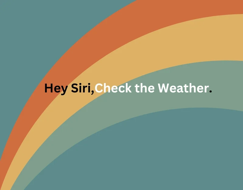 check the weather