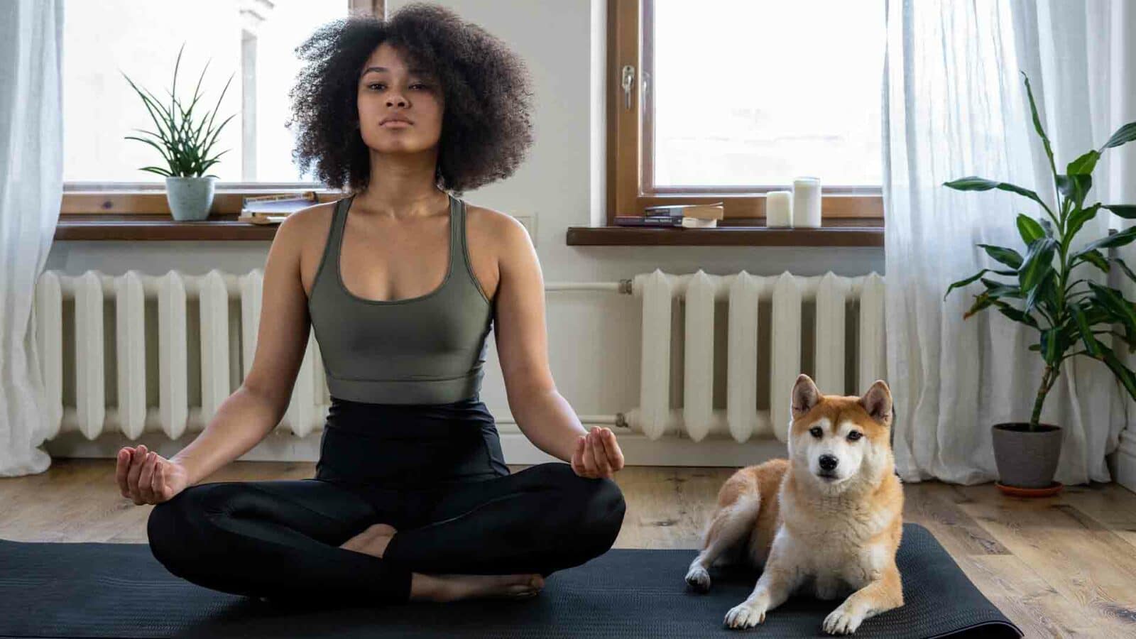 Bir youtube kanalı için köpekle yoga