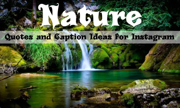 Citas de naturaleza e ideas de subtítulos para Instagram