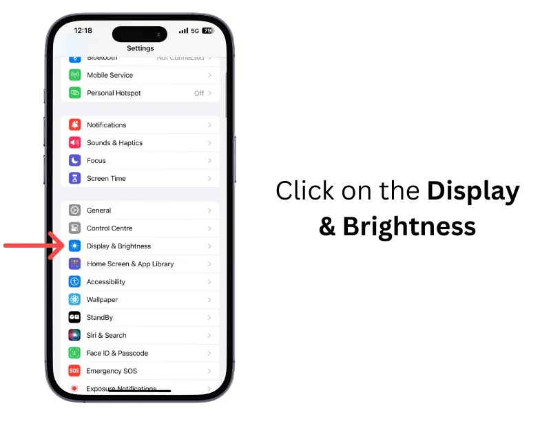 iphone display and brightness settings