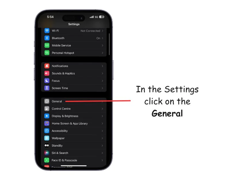 general settings on the iphone