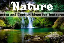 Citações da natureza e ideias de legendas para Instagram