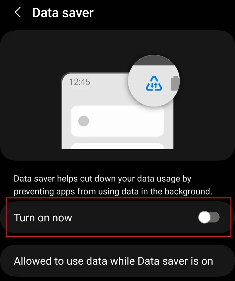 turn off data saver