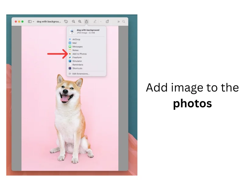 add image to the photos