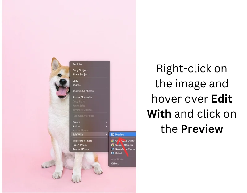 enter preview mode