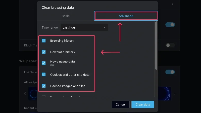 advanced browsing data in opera