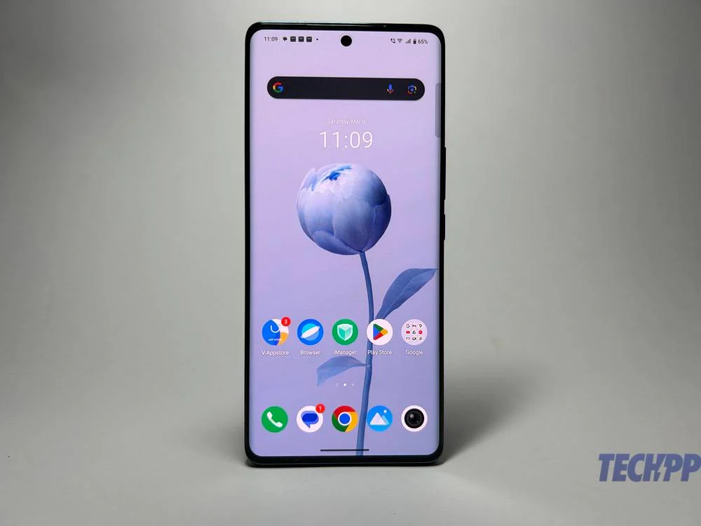 vivo v30 display