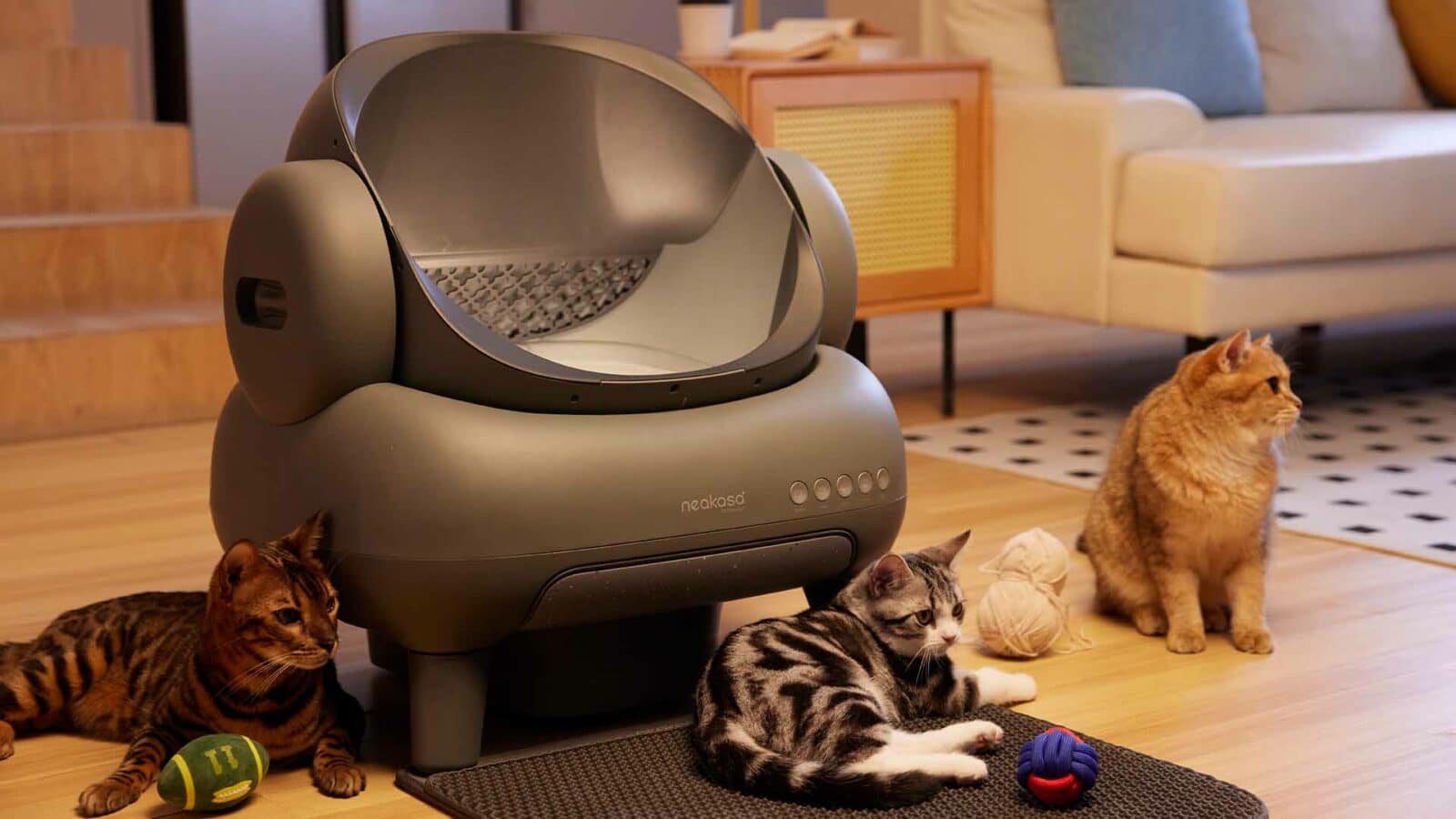 Neakasa m1 litter box.