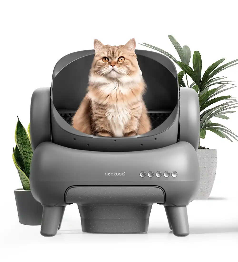 Neakasa m1 open-top self-cleaning cat litter box