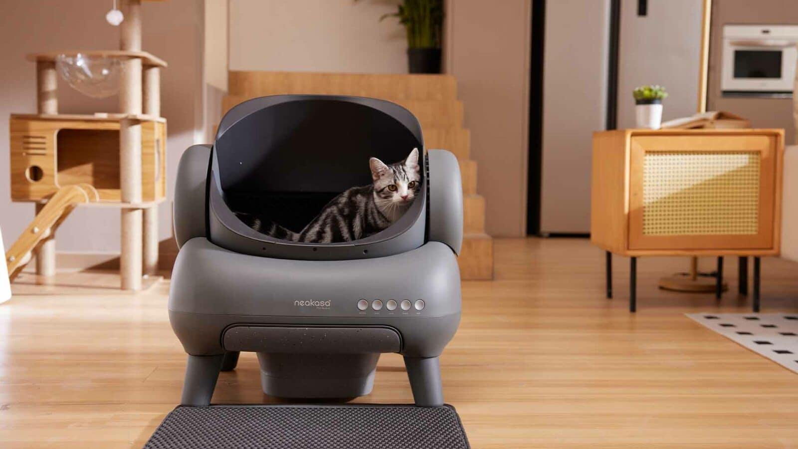 Neakasa m1 litter box.