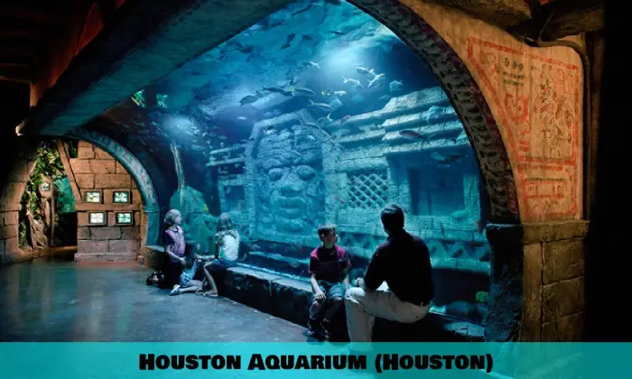 Aquarium de Houston (Houston)