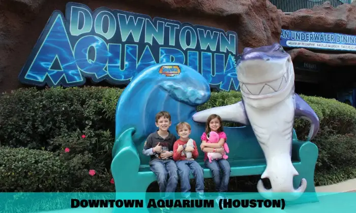 Aquarium du centre-ville (Houston)