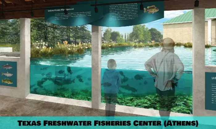 Centre des pêches en eau douce du Texas (Athènes)