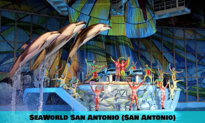 SeaWorld San Antonio (San Antonio)