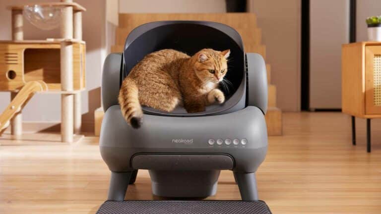 cutie de gunoi neakasa m1 - unde performanța se întâlnește cu torcarea Neakasa m1 litter box.