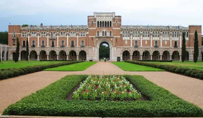 Université du riz