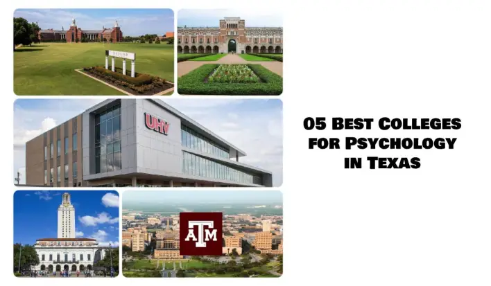 05 meilleurs collèges de psychologie au Texas