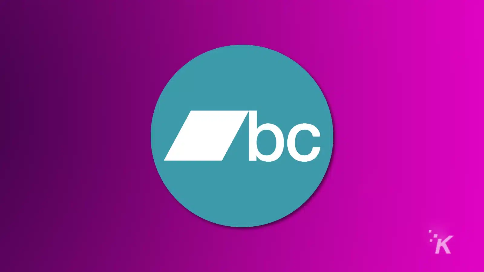 บริการสตรีมเพลงที่ดีที่สุด (2024) Bandcamp logo on a purple background