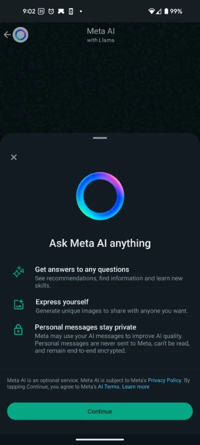 meta ai terms