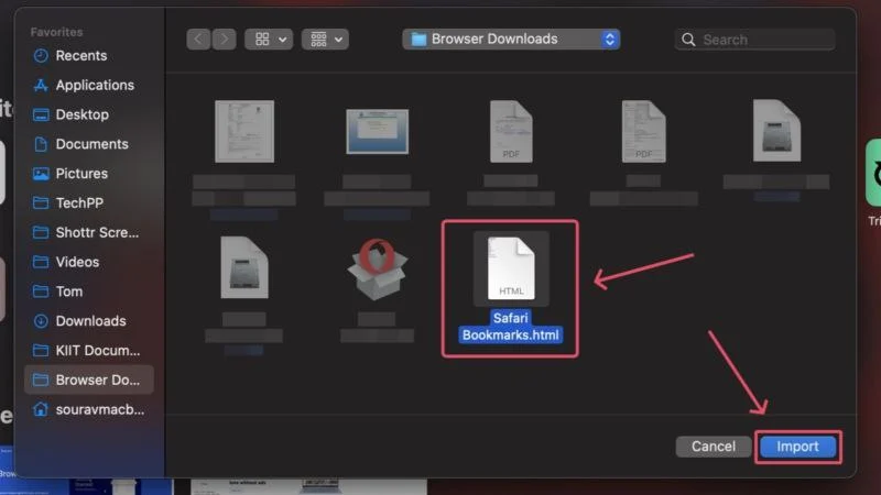 import bookmark file to safari