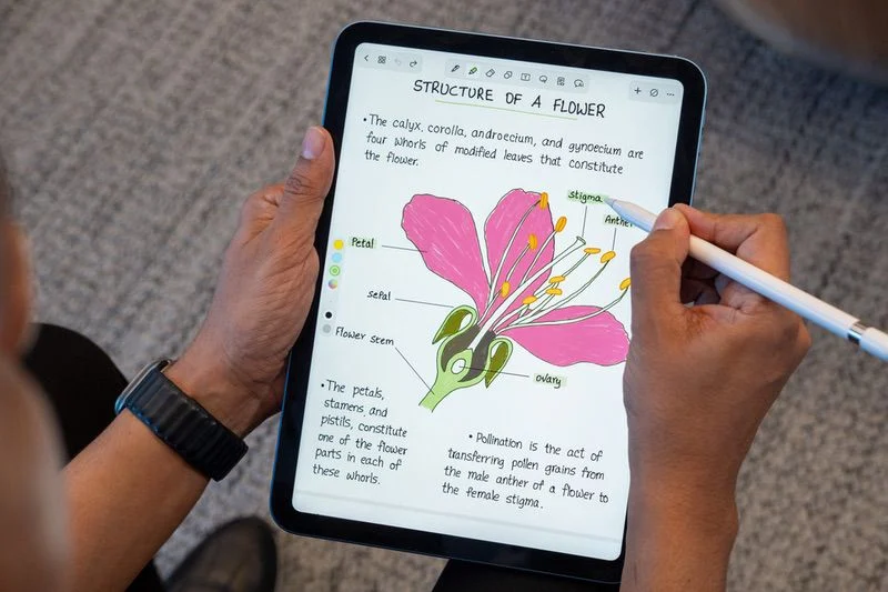 noteshelf