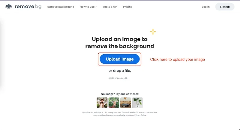 visi remove.bg