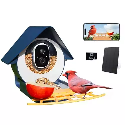 Mangiatoia per uccelli intelligente Birdkiss con fotocamera