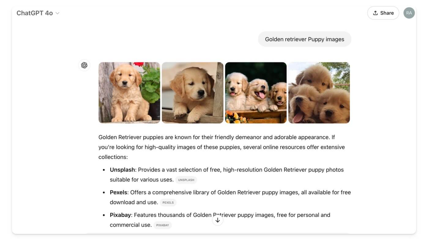 golden retreiver puppy image results on chatgpt search