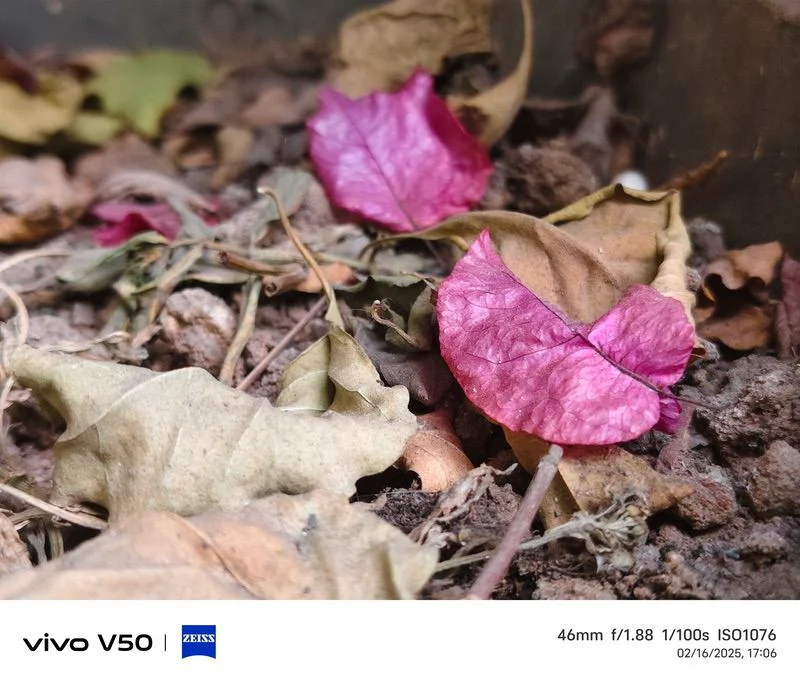 vivo v50 review: camera boss of the mid-segment! - img 20250216 171133