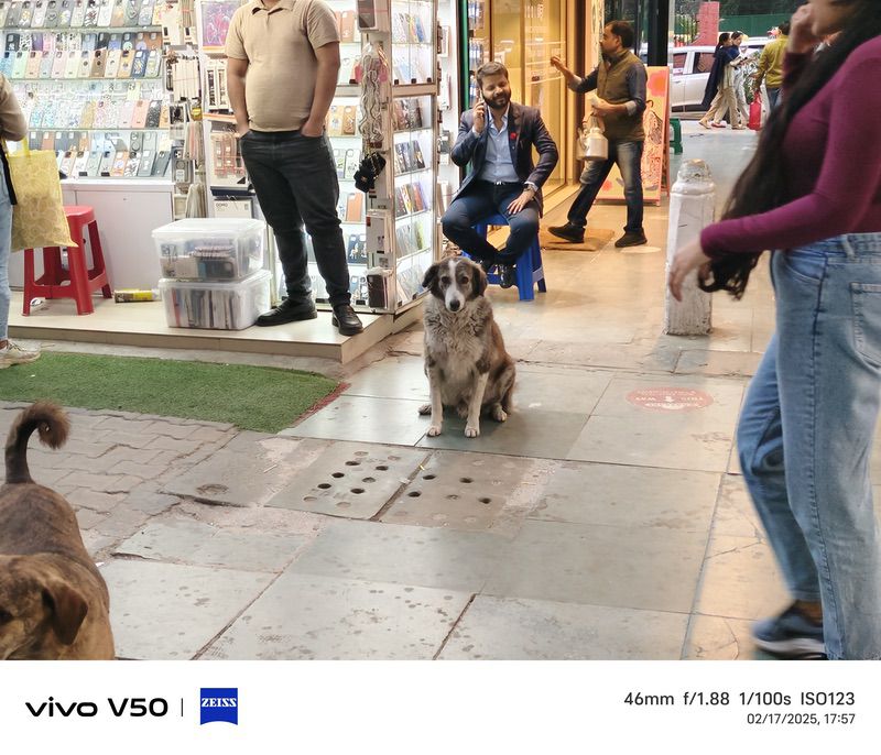 vivo v50 review: camera boss of the mid-segment! - img 20250217 175704