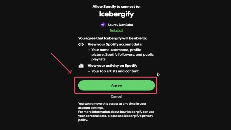 allow access to icebergify