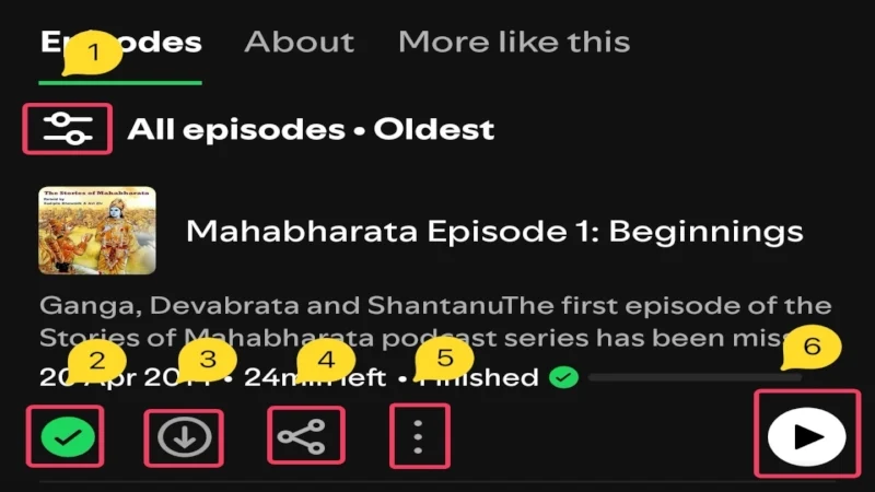 spotify podcast episode