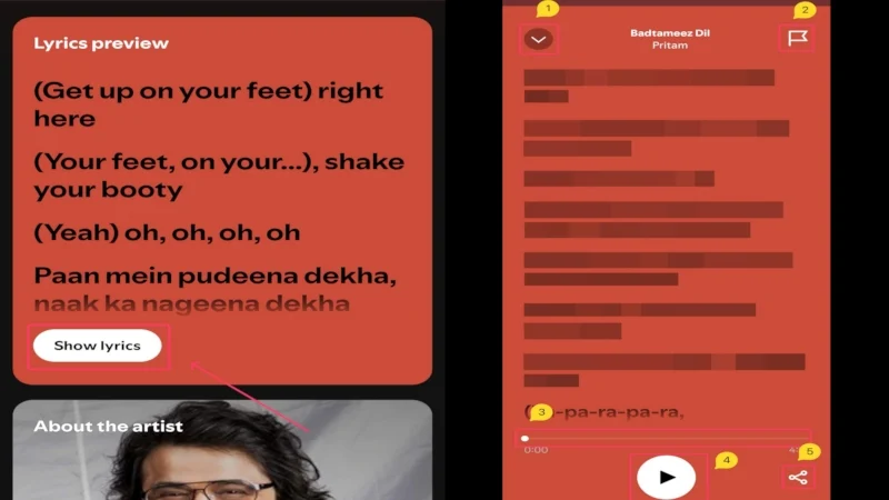 spotify lyrics page