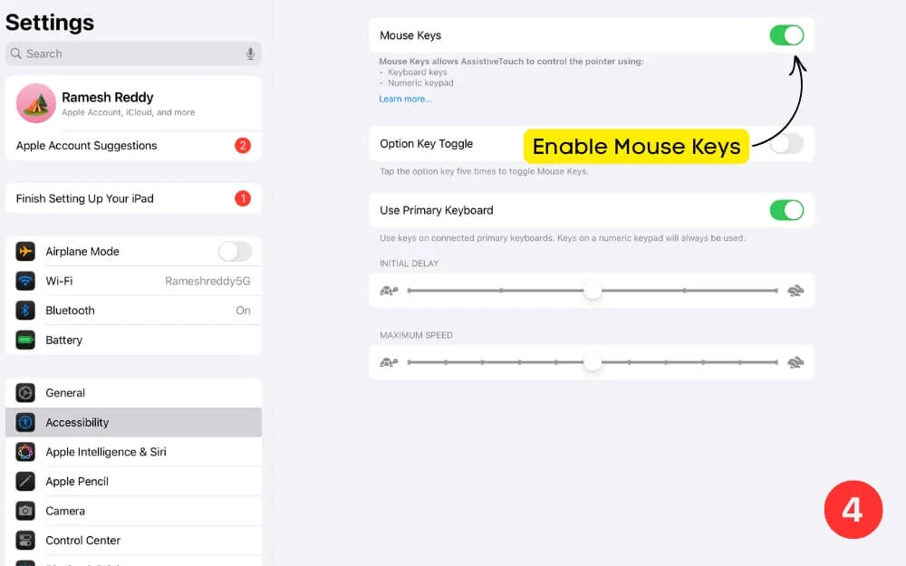 enable mouse keys