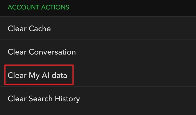 clear ai data on snapchat