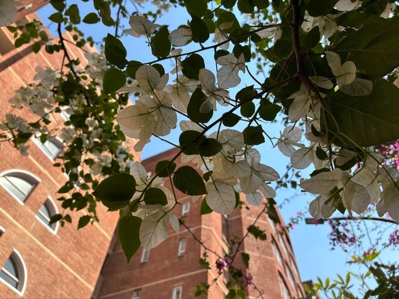 iphone 16e review: more for the "#madeoniphone" crowd than for the "#shotoniphone" one - img 0062