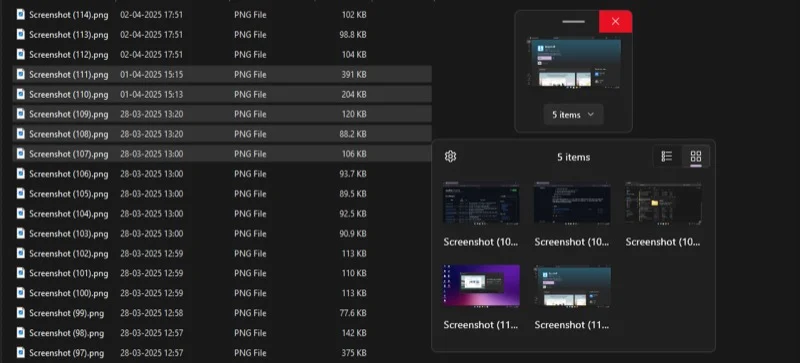 viewing all items on a dropshelf shelf.