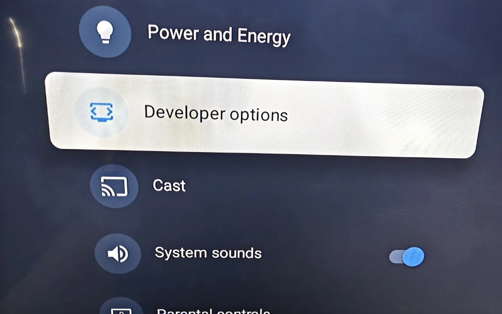 developer options