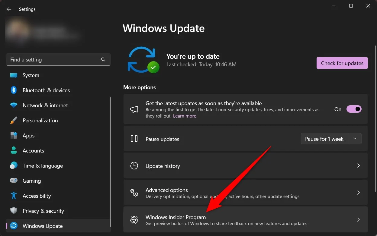 windows insider program