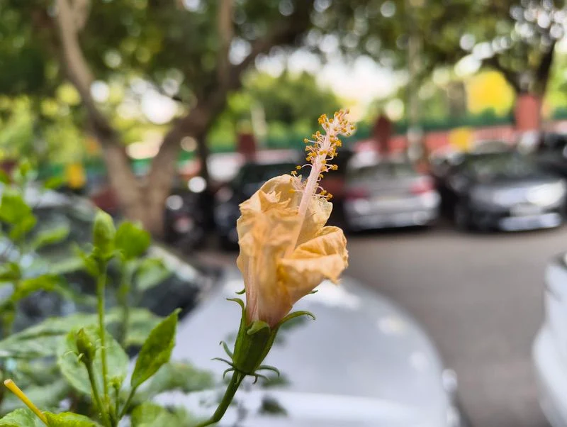 cmf phone 2 pro review: solid mid-segment player, with serious camera flair - img 20250518 174145262